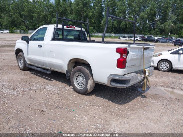 Chevrolet Silverado C1500 2025 3GCNAAED9SG339553 Image 3