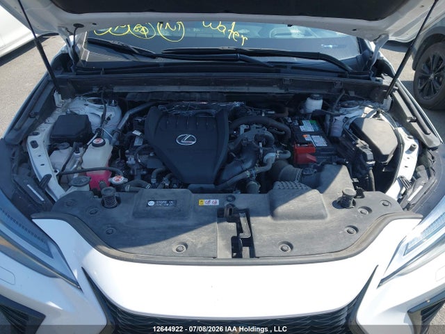 JTJKGCEZ1N5003087 Lexus NX 350