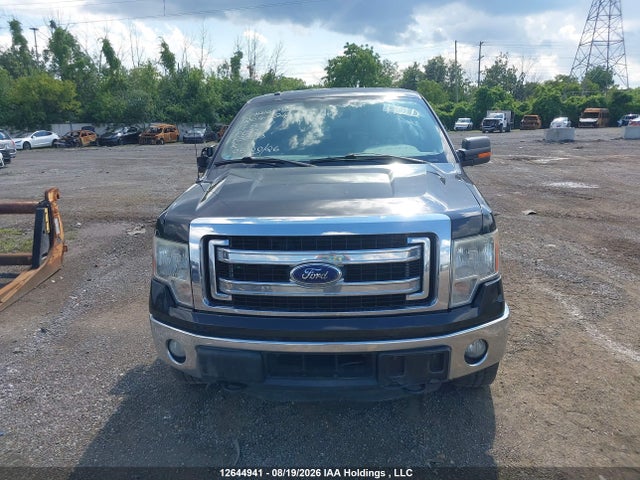Ford F-150 Xlt 2014 1FTFW1ETXEKF30103 Image 13