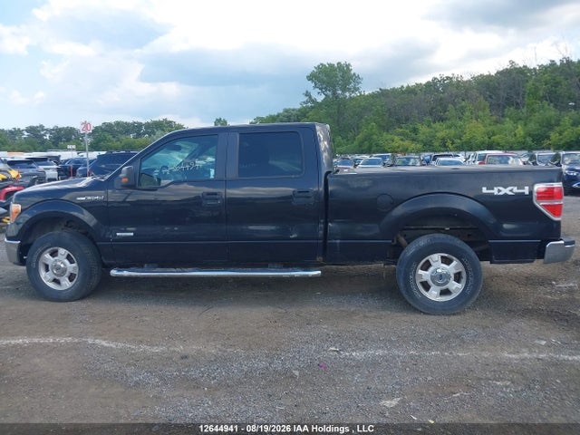 Ford F-150 Xlt 2014 1FTFW1ETXEKF30103 Image 15
