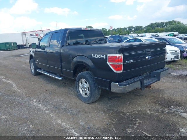 Продаж на аукціоні авто 2014 Ford F-150 Xlt, vin: 1FTFW1ETXEKF30103, номер лоту: 12644941
