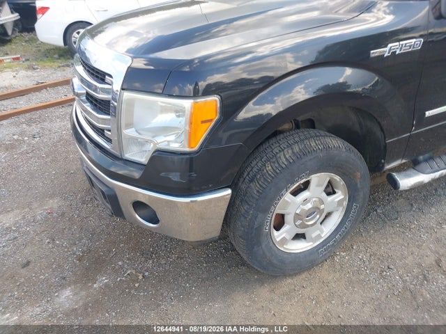 Ford F-150 Xlt 2014 1FTFW1ETXEKF30103 Image 6