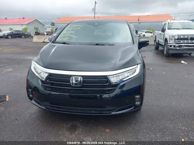 Honda ODYSSEY EXL 2024 5FNRL6H60RB504198 Image 12