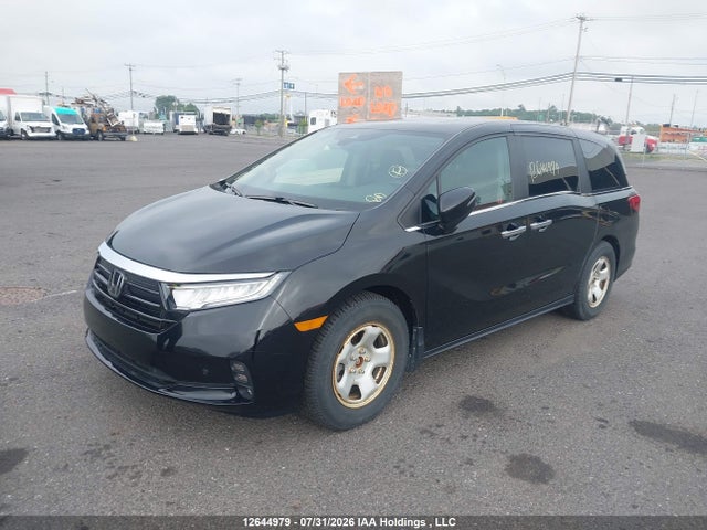 Honda ODYSSEY EXL 2024 5FNRL6H60RB504198 Image 2