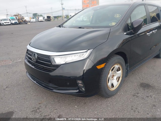 Honda ODYSSEY EXL 2024 5FNRL6H60RB504198 Image 6