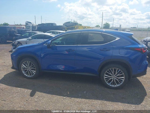 2024 Lexus Nx 350h 350h მანქანა იყიდება აუქციონზე, vin: 2T2GKCEZ0RC022337, აუქციონის ნომერი: 12645014