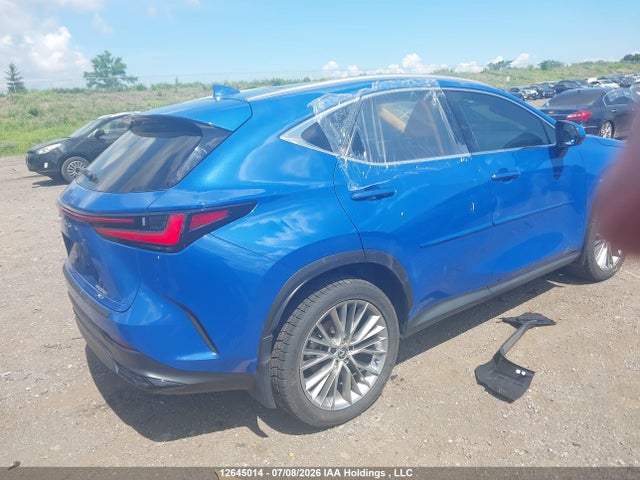 2024 Lexus Nx 350h 350h მანქანა იყიდება აუქციონზე, vin: 2T2GKCEZ0RC022337, აუქციონის ნომერი: 12645014