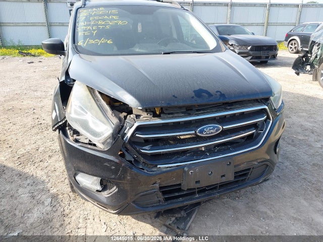 12645015 :رقم المزاد ، 1FMCU0G96HUD80290 vin ، 2017 Ford Escape مزاد بيع