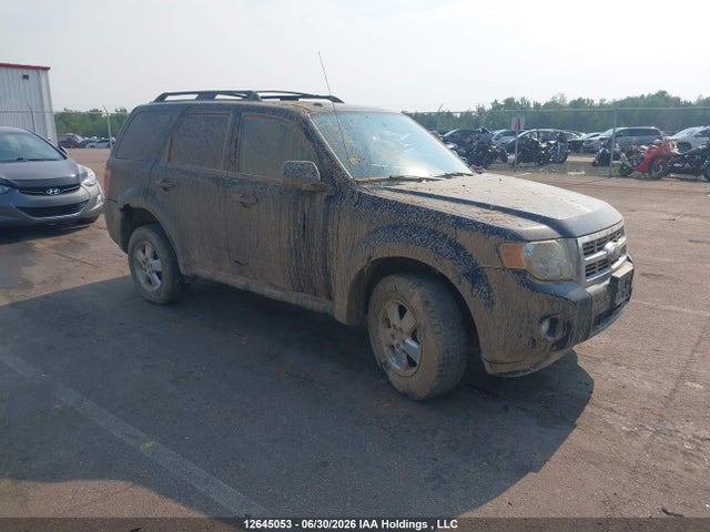 2010 Ford Escape Xlt მანქანა იყიდება აუქციონზე, vin: 1FMCU0D70AKB39071, აუქციონის ნომერი: 12645053