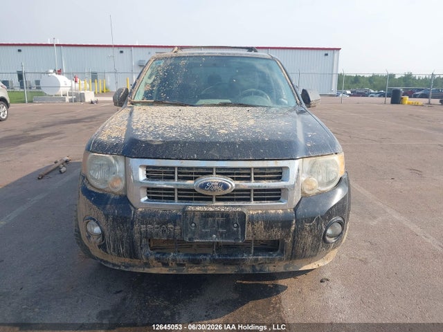 Aukcja sprzedaży 2010 Ford Escape Xlt, vin: 1FMCU0D70AKB39071, numer aukcji: 12645053