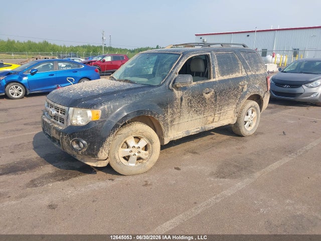 Aukcja sprzedaży 2010 Ford Escape Xlt, vin: 1FMCU0D70AKB39071, numer aukcji: 12645053