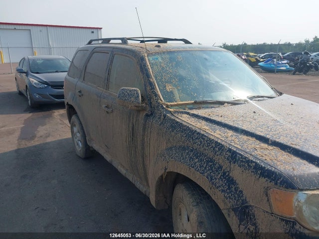 Aukcja sprzedaży 2010 Ford Escape Xlt, vin: 1FMCU0D70AKB39071, numer aukcji: 12645053