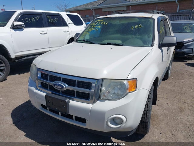 12612791 :رقم المزاد ، 1FMCU0DG3BKB06017 vin ، 2011 Ford Escape Xlt Automatic مزاد بيع