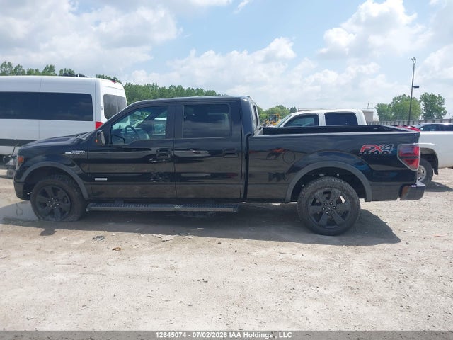 Ford F-150 2014 1FTFW1ET3EFB79706 Image 14