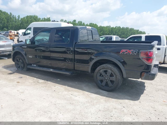 Ford F-150 2014 1FTFW1ET3EFB79706 Image 3