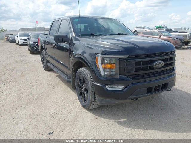 Продаж на аукціоні авто 2023 Ford F150 Supercrew, vin: 1FTFW1E5XPFC82366, номер лоту: 12645075