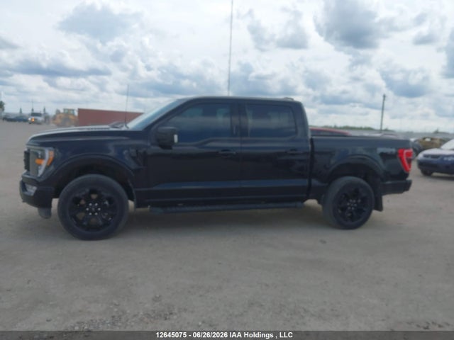 12645075 :رقم المزاد ، 1FTFW1E5XPFC82366 vin ، 2023 Ford F150 Supercrew مزاد بيع