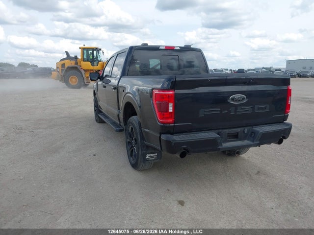 12645075 :رقم المزاد ، 1FTFW1E5XPFC82366 vin ، 2023 Ford F150 Supercrew مزاد بيع