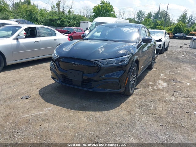 Ford Mustang Mach-e Premium 2025 3FMTK3SU4SMA61968 Image 2