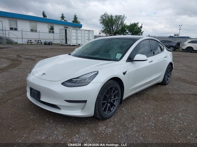 Tesla MODEL 3 2020 5YJ3E1EA6LF790030 Image 2