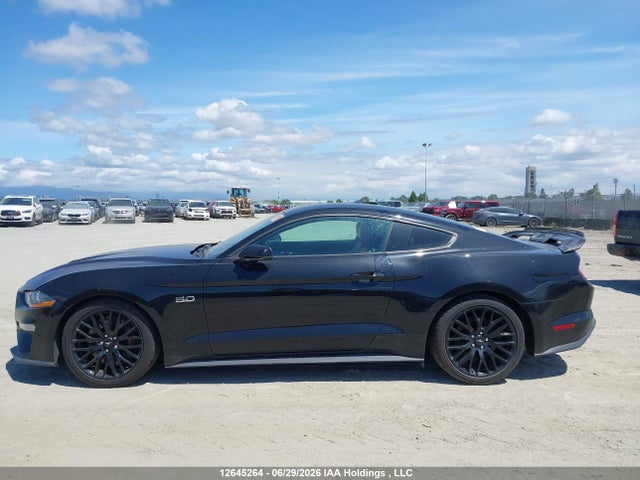 12645264 :رقم المزاد ، 1FA6P8CF1K5160288 vin ، 2019 Ford Mustang Gt مزاد بيع