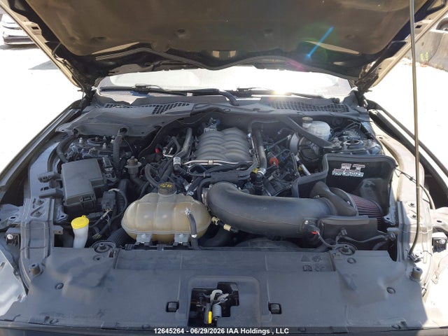 Продаж на аукціоні авто 2019 Ford Mustang Gt, vin: 1FA6P8CF1K5160288, номер лоту: 12645264