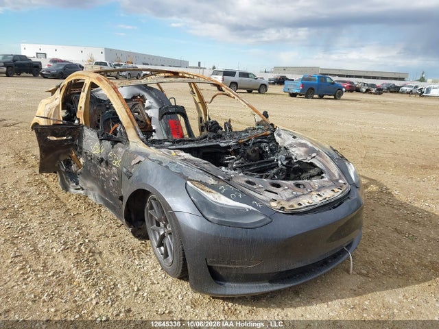 Продаж на аукціоні авто 2023 Tesla Model 3, vin: 5YJ3E1EA6PF699619, номер лоту: 12645336