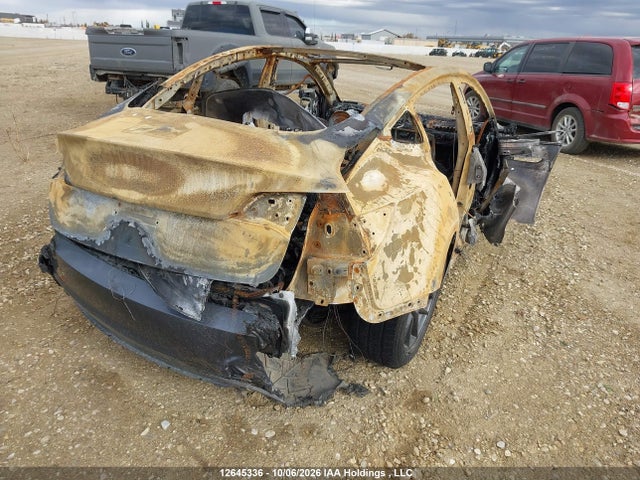 Tesla MODEL 3 2023 5YJ3E1EA6PF699619 Image 4