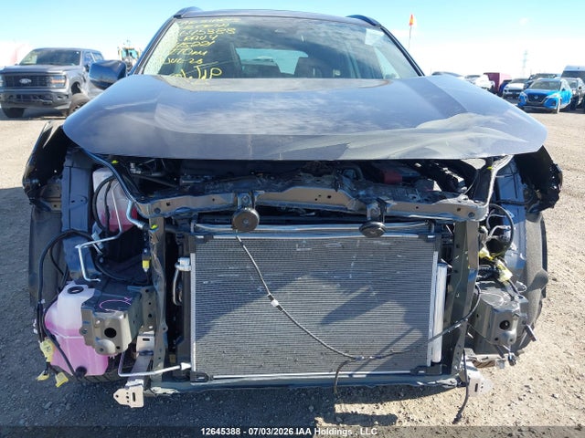 2025 Toyota Rav4 Xle/xle Premium მანქანა იყიდება აუქციონზე, vin: 2T3R1RFV5SC545221, აუქციონის ნომერი: 12645388