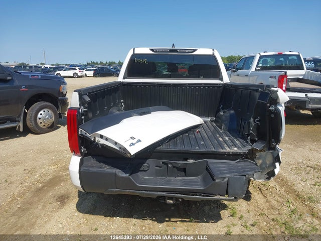 Продаж на аукціоні авто 2025 Toyota Tundra Sr 4x4, vin: 5TFLA5DB9SX329602, номер лоту: 12645393