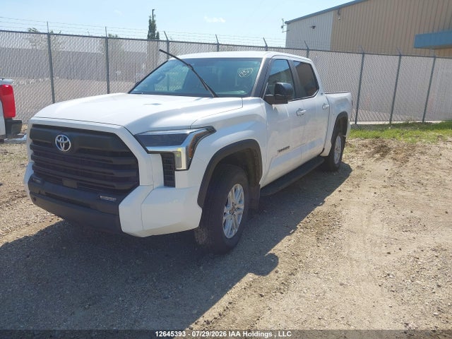 Продаж на аукціоні авто 2025 Toyota Tundra Sr 4x4, vin: 5TFLA5DB9SX329602, номер лоту: 12645393