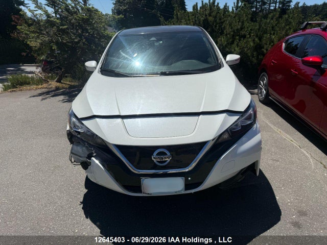 Nissan Leaf S/sl/sv 2018 1N4AZ1CP2JC302565 главное изображение
