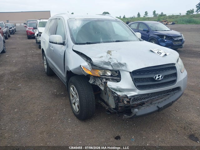 Продаж на аукціоні авто 2009 Hyundai Santa Fe Gl, vin: 5NMSG13D69H309221, номер лоту: 12645455
