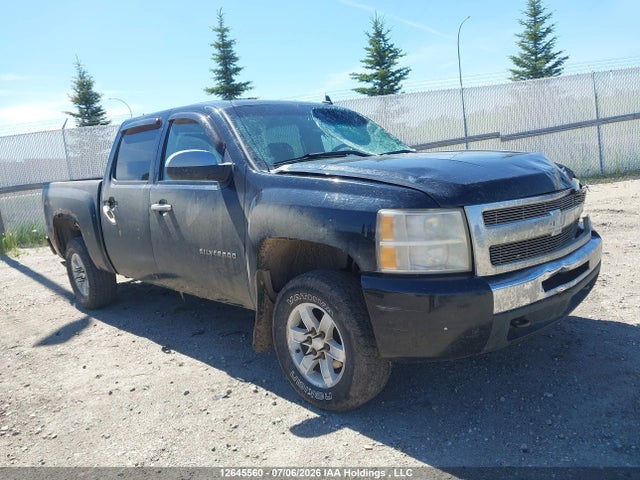 12645560 :رقم المزاد ، 3GCRKSE38AG242418 vin ، 2010 Chevrolet Silverado 1500 Lt مزاد بيع