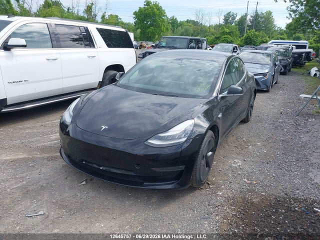 Aukcja sprzedaży 2020 Tesla Model 3 Standard Range Plus, vin: 5YJ3E1EA0LF779993, numer aukcji: 12645757