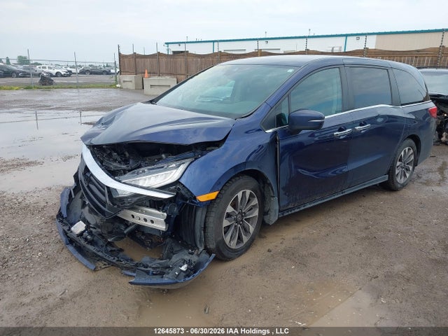 Продаж на аукціоні авто 2022 Honda Odyssey Exl, vin: 5FNRL6H64NB503355, номер лоту: 12645873