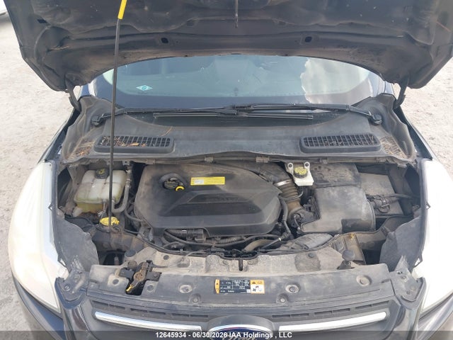 Продаж на аукціоні авто 2014 Ford Escape, vin: 1FMCU0GX9EUB87237, номер лоту: 12645934