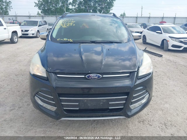 Продаж на аукціоні авто 2014 Ford Escape, vin: 1FMCU0GX9EUB87237, номер лоту: 12645934