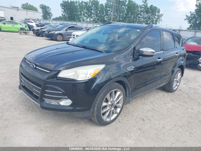 Продаж на аукціоні авто 2014 Ford Escape, vin: 1FMCU0GX9EUB87237, номер лоту: 12645934