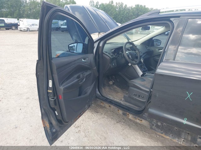 Продаж на аукціоні авто 2014 Ford Escape, vin: 1FMCU0GX9EUB87237, номер лоту: 12645934