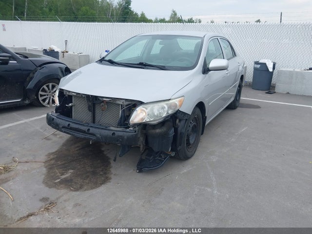 2010 Toyota Corolla Ce მანქანა იყიდება აუქციონზე, vin: 2T1BU4EE7AC489495, აუქციონის ნომერი: 12645988