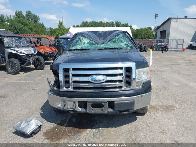 2009 Ford F-150 Xlt მანქანა იყიდება აუქციონზე, vin: 1FTRW14819FB45487, აუქციონის ნომერი: 12646014