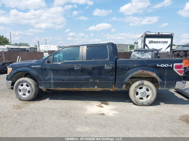 2009 Ford F-150 Xlt მანქანა იყიდება აუქციონზე, vin: 1FTRW14819FB45487, აუქციონის ნომერი: 12646014