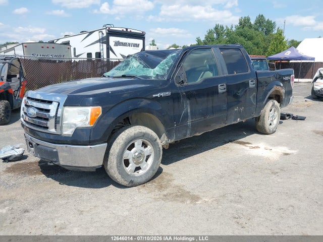 2009 Ford F-150 Xlt მანქანა იყიდება აუქციონზე, vin: 1FTRW14819FB45487, აუქციონის ნომერი: 12646014