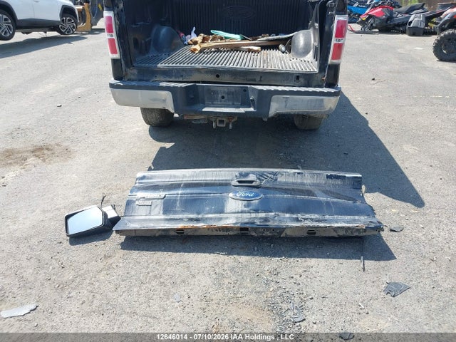 2009 Ford F-150 Xlt მანქანა იყიდება აუქციონზე, vin: 1FTRW14819FB45487, აუქციონის ნომერი: 12646014