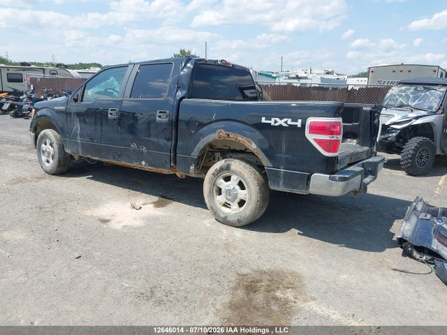 2009 Ford F-150 Xlt მანქანა იყიდება აუქციონზე, vin: 1FTRW14819FB45487, აუქციონის ნომერი: 12646014