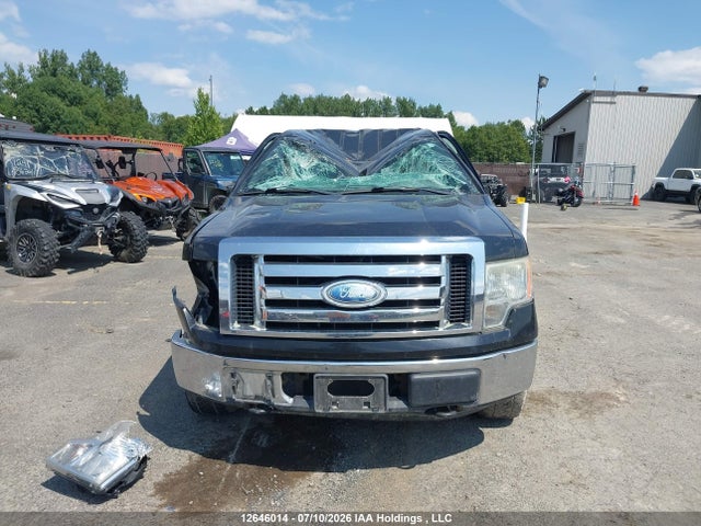 2009 Ford F-150 Xlt მანქანა იყიდება აუქციონზე, vin: 1FTRW14819FB45487, აუქციონის ნომერი: 12646014
