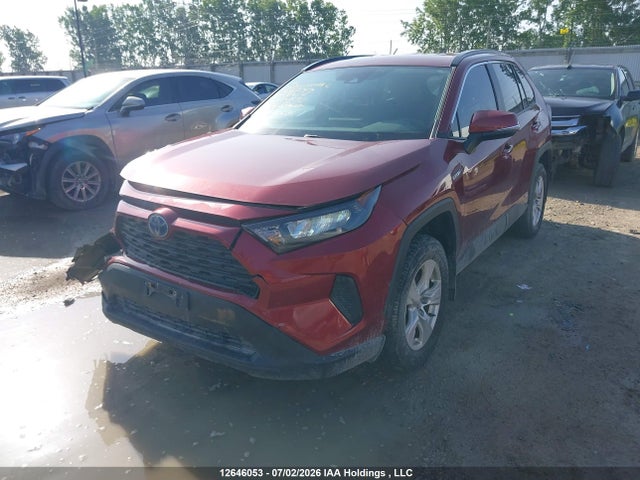 12646053 :رقم المزاد ، 2T3BWRFV9LW101570 vin ، 2020 Toyota Rav4 Hybrid Le مزاد بيع