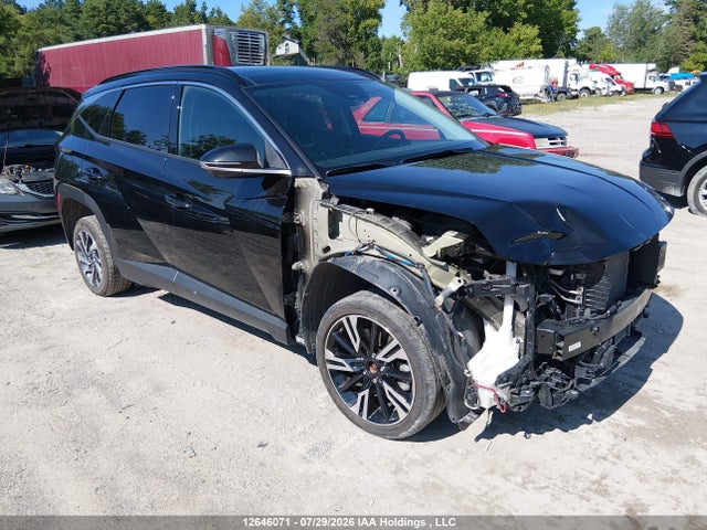 Hyundai TUCSON HYBRID 2024 KM8JDDD24RU175929 главное изображение