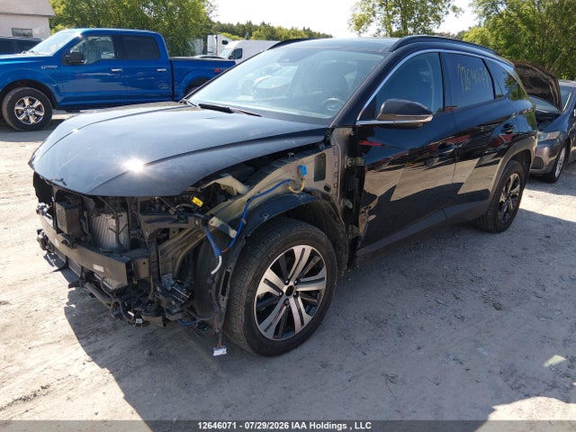 KM8JDDD24RU175929 Hyundai TUCSON HYBRID